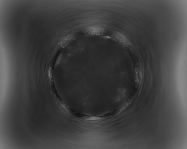 X0000082940718200703020127