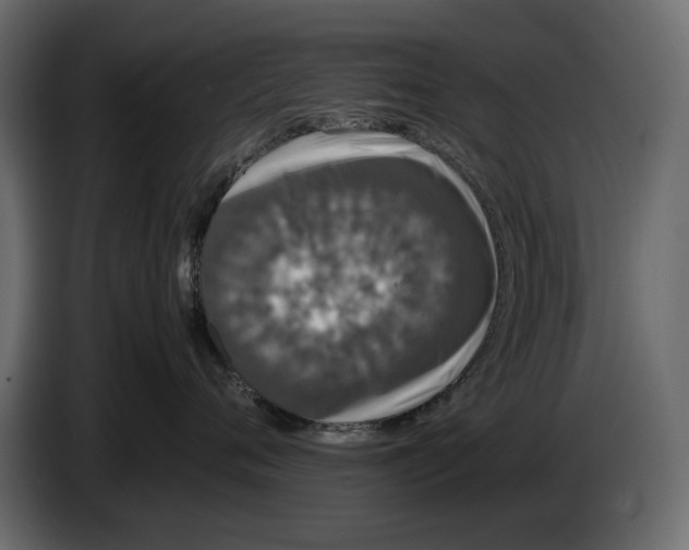 X0000082940720200703020127