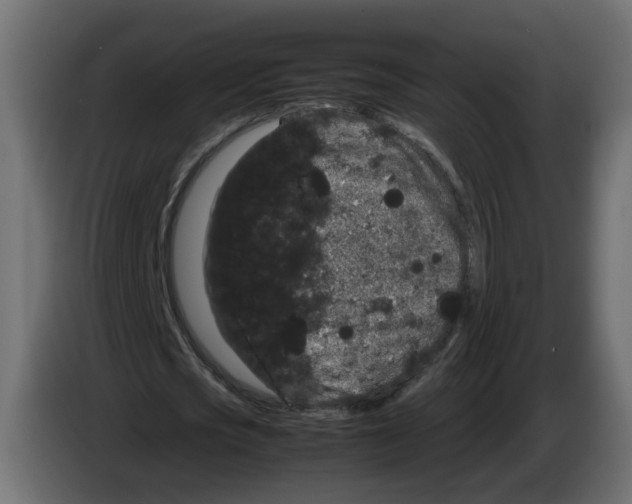 X0000082940721200703020126