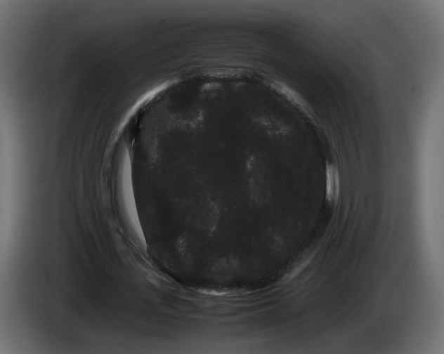 X0000082940723200703020126