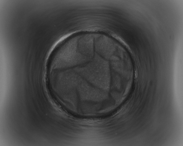 X0000082940724200703020126