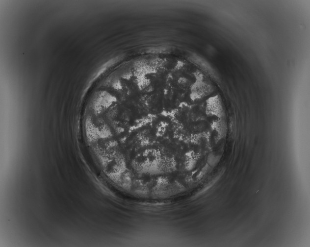 X0000082940725200703020126