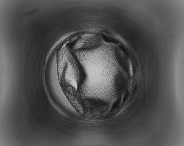 X0000082940726200703020126