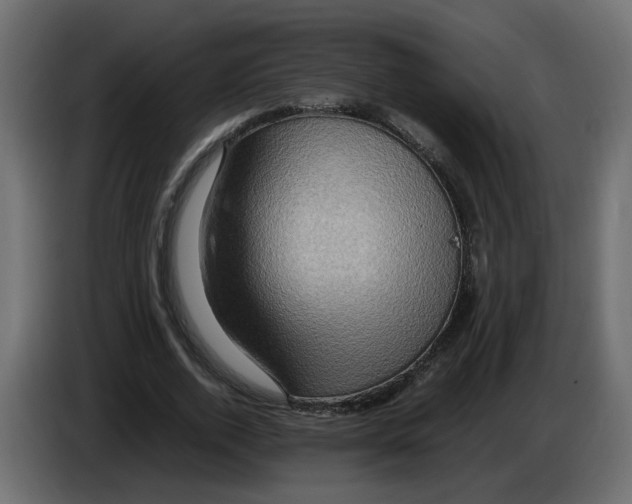 X0000082940728200703020127