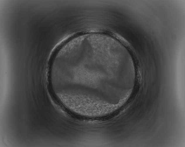 X0000082940730200703020127