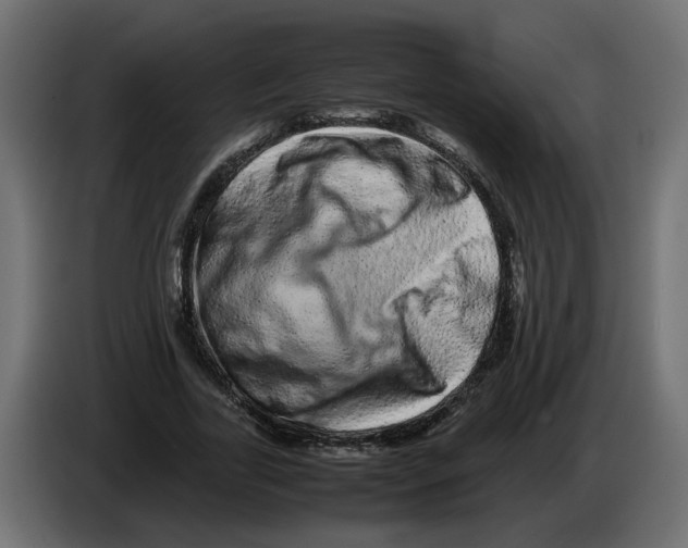 X0000082940731200703020127