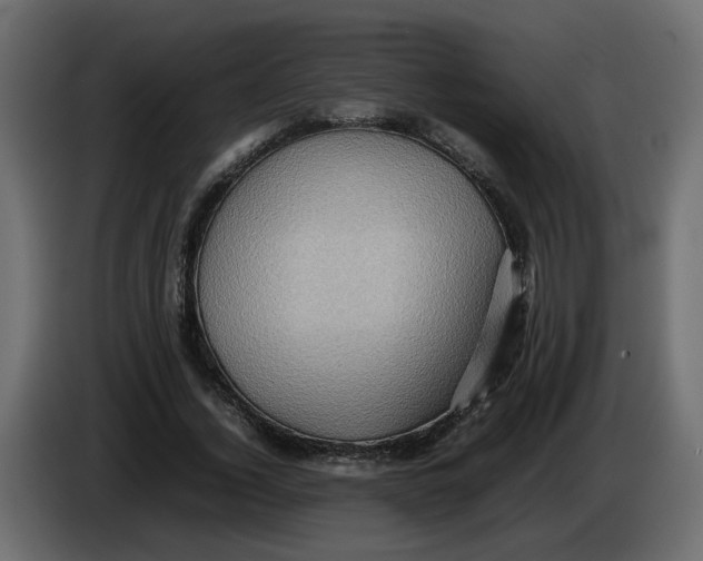 X0000082940732200703020127