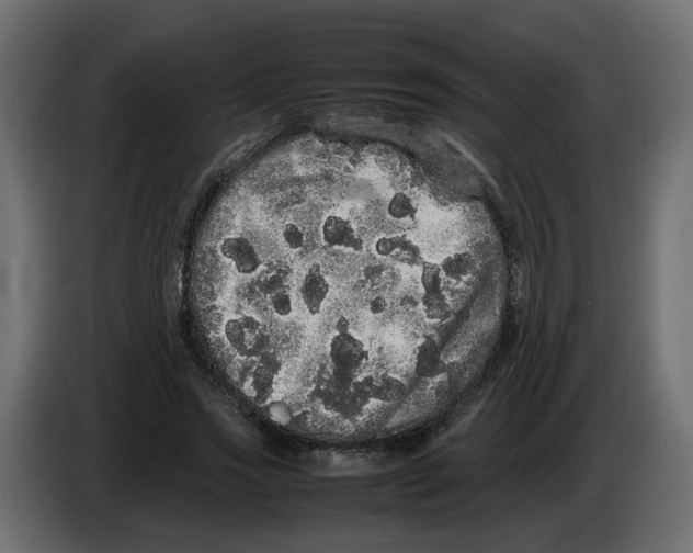 X0000082940733200703020127