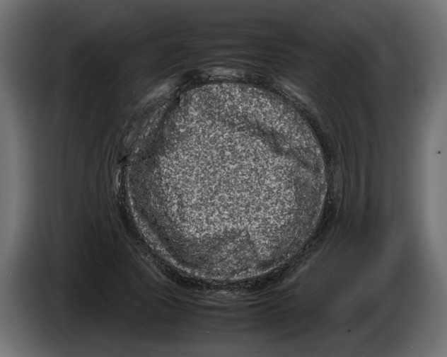 X0000082940737200703020127