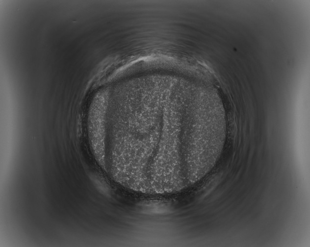 X0000082940738200703020127