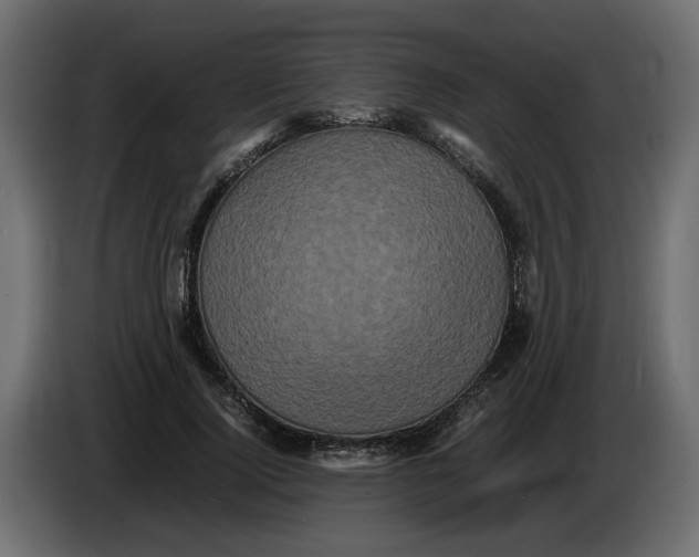 X0000082940740200703020127