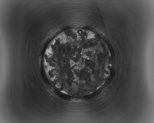 X0000082940742200703020127