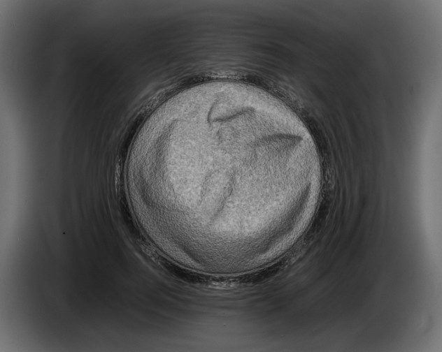 X0000082940744200703020127