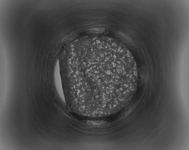 X0000082940745200703020127