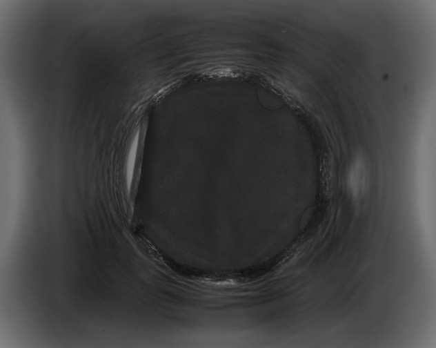 X0000082940747200703020127