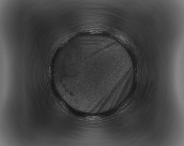 X0000082940748200703020127