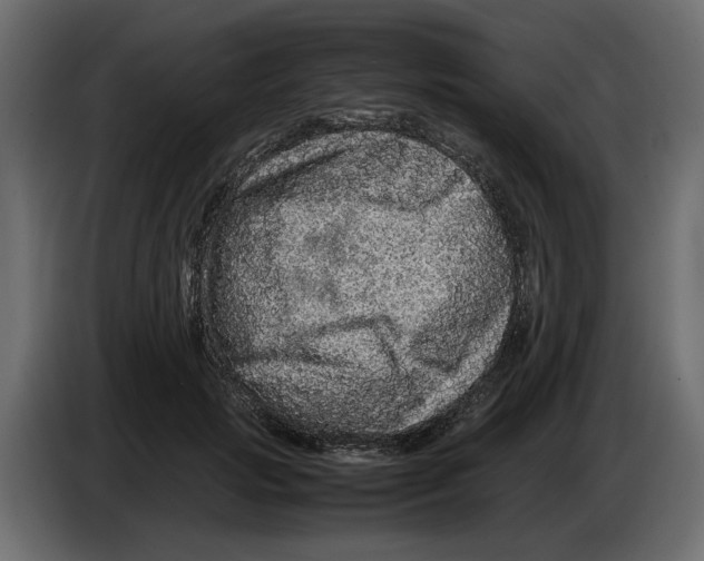 X0000082940749200703020127