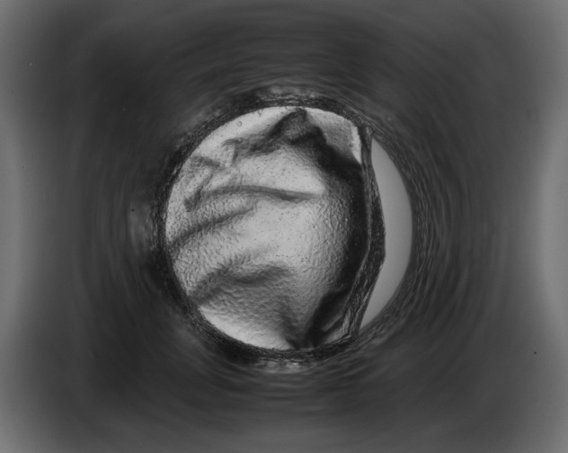 X0000082940751200703020127