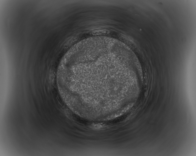 X0000082940753200703020127