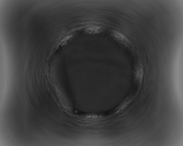 X0000082940759200703020127