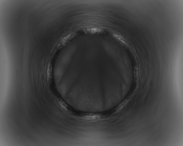 X0000082940760200703020127