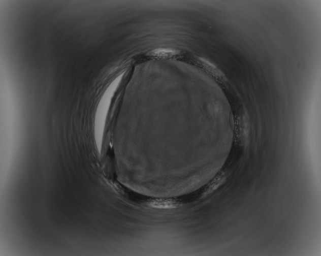 X0000082940762200703020127