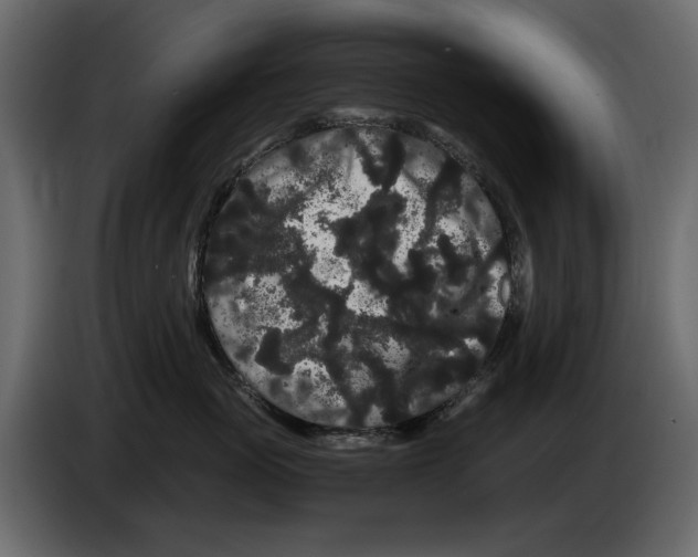 X0000082940765200703020127