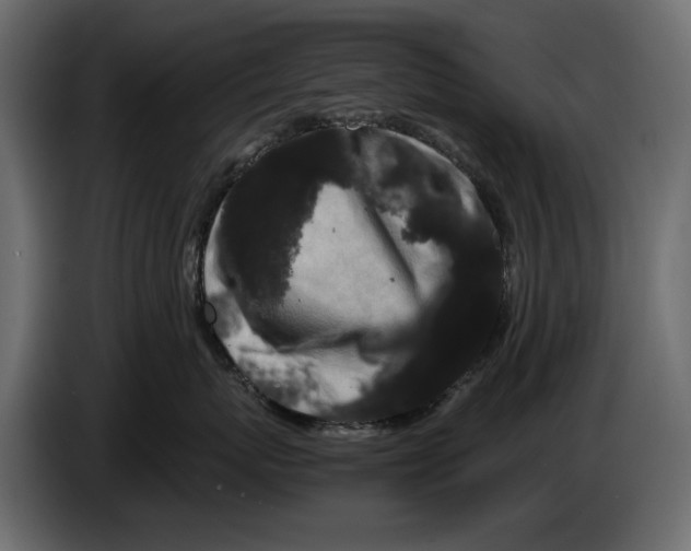 X0000082940767200703020127