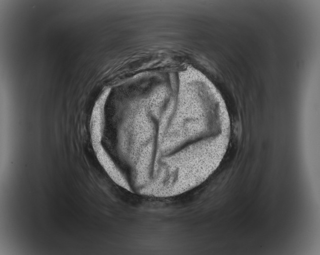 X0000082940771200703020126