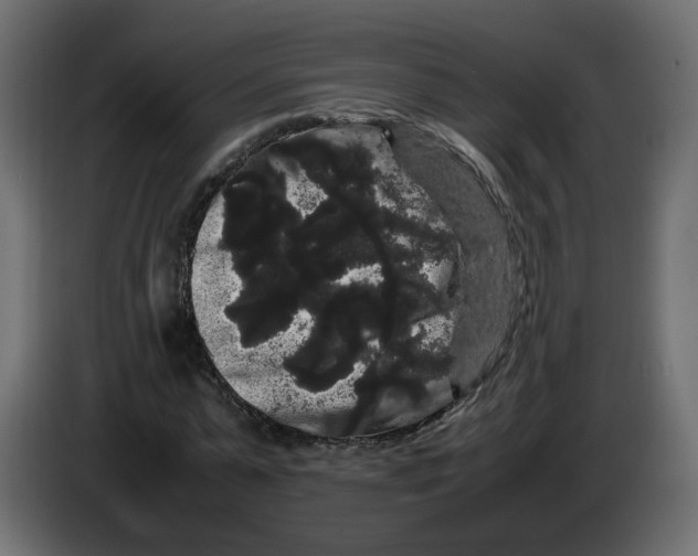 X0000082940775200703020126