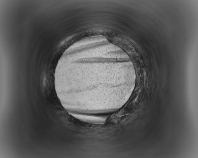 X0000082940776200703020126