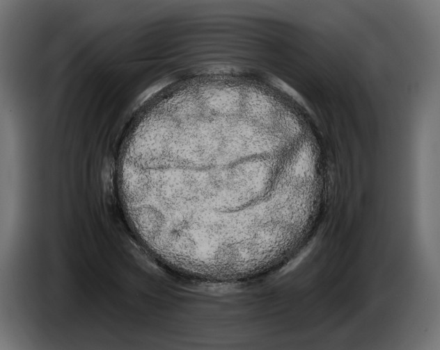 X0000082940778200703020126