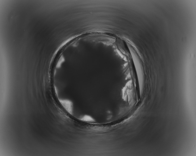 X0000082940779200703020126