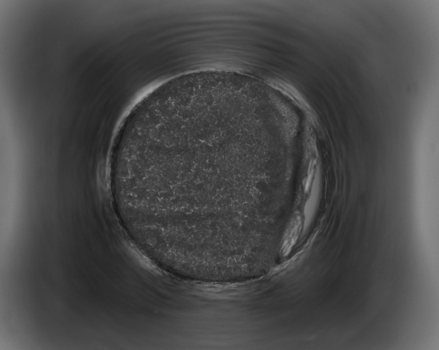 X0000082940780200703020126