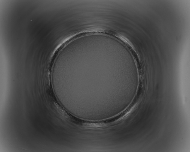 X0000082940781200703020126