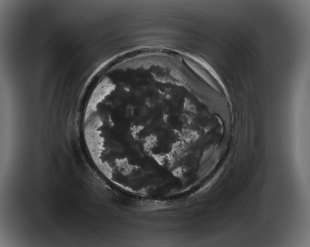 X0000082940783200703020126