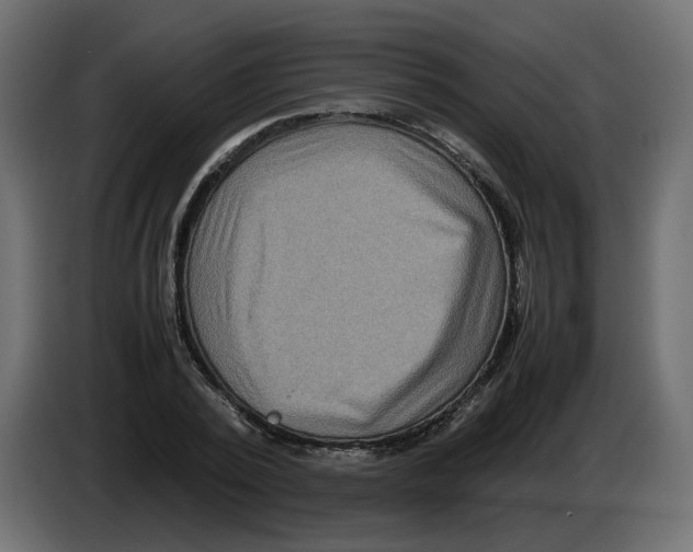 X0000082940784200703020126