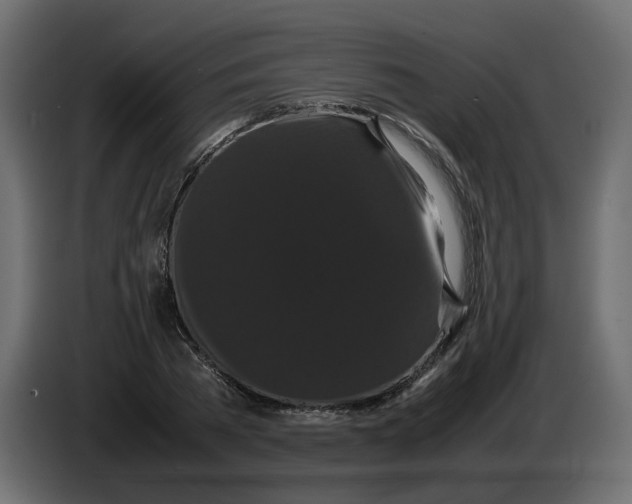 X0000082940785200703020126