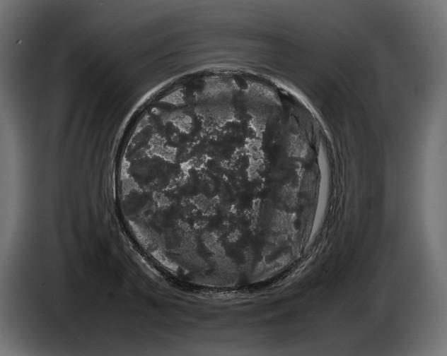 X0000082940791200703020126