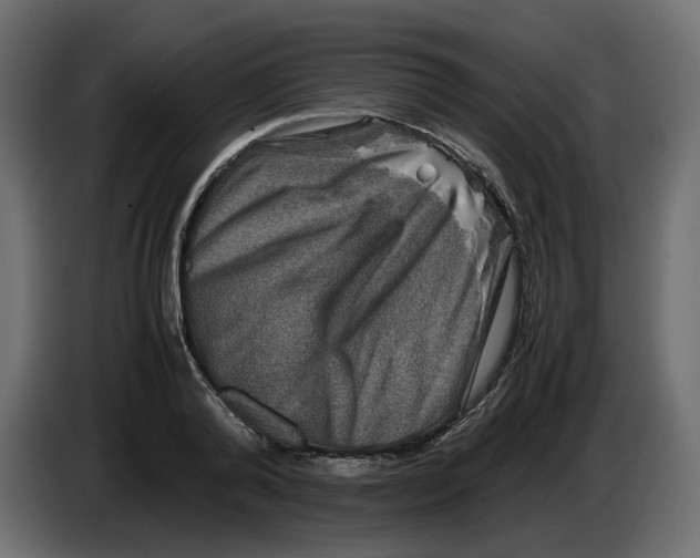 X0000082940792200703020126