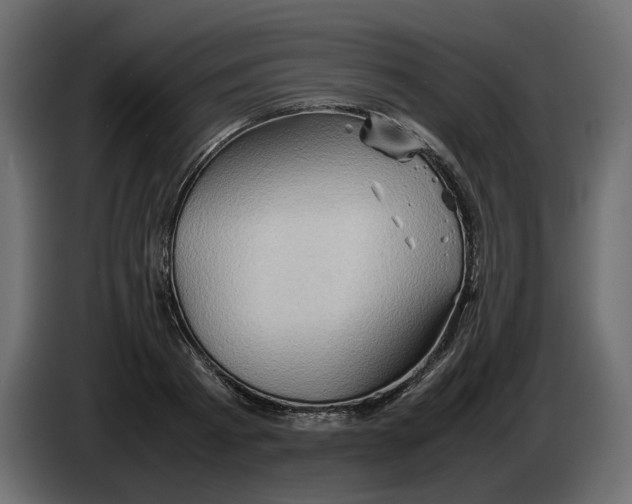 X0000082940793200703020126