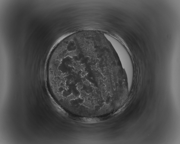 X0000082940795200703020126