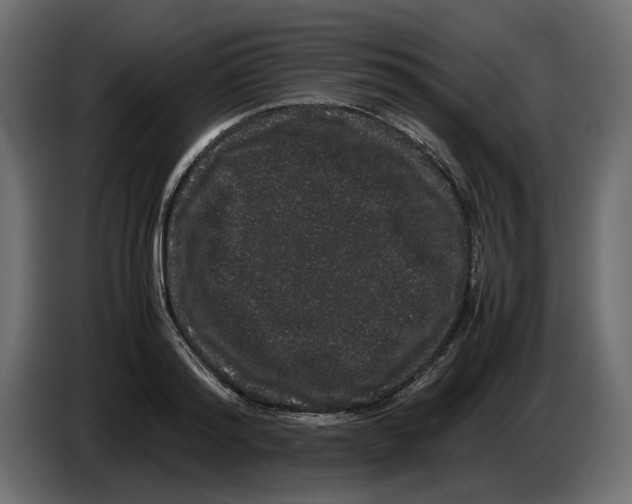 X0000082940796200703020126