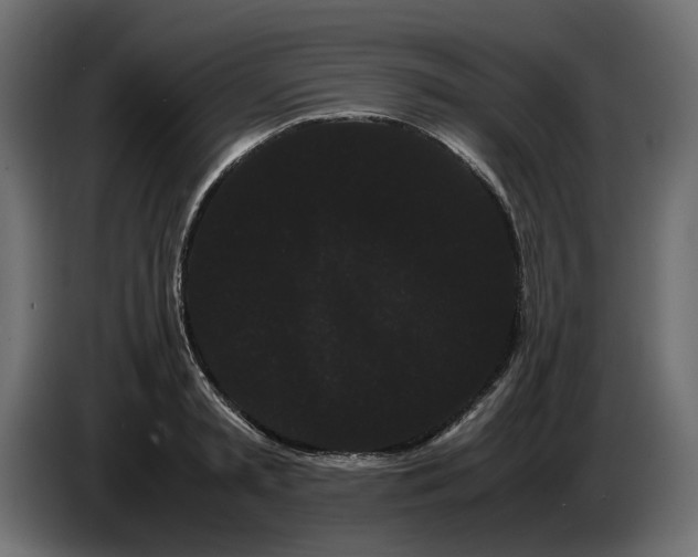 X0000082940797200703020126