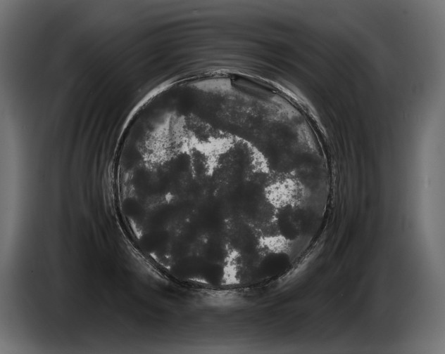 X0000082940798200703020126