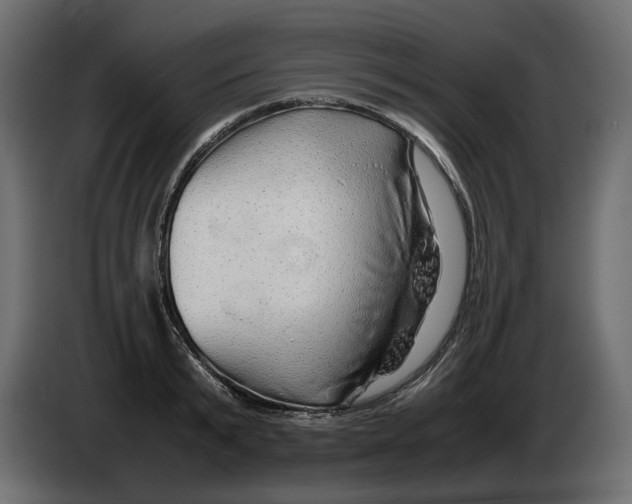 X0000082940799200703020126