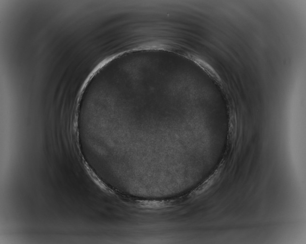 X0000082940800200703020126