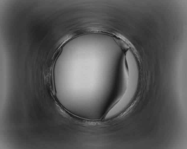 X0000082940801200703020126