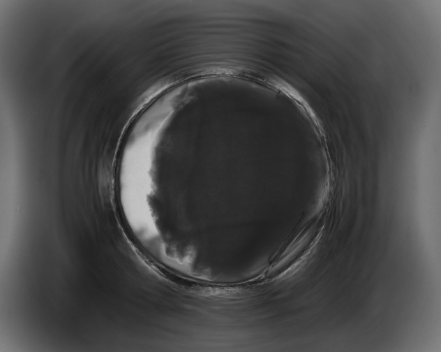 X0000082940802200703020126