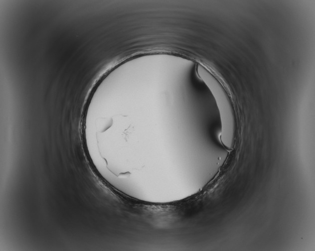 X0000082940805200703020126